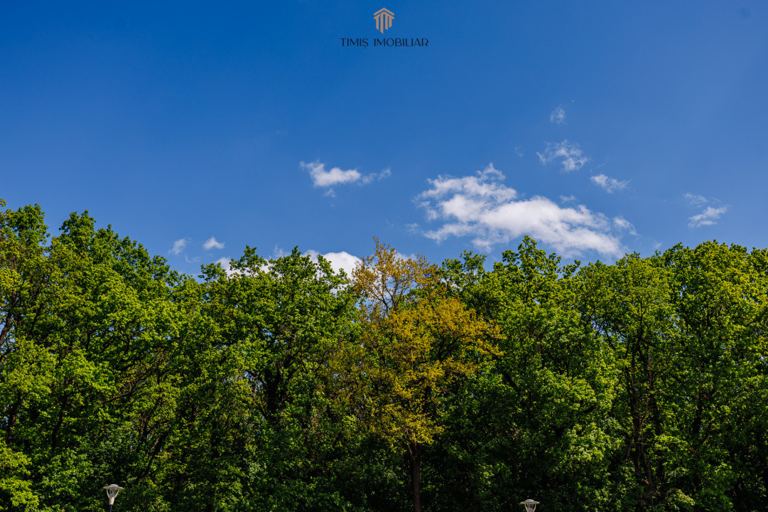 Parcele la padure, între Timișoara și Ghiroda/Giarmata Vii - Com 0%