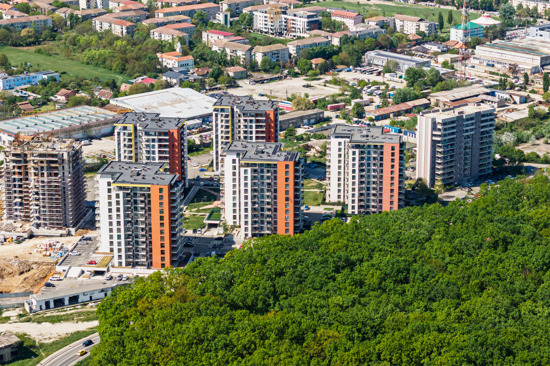 2 camere, vedere spre Pădurea Verde | Adora Forest – Pet Friendly