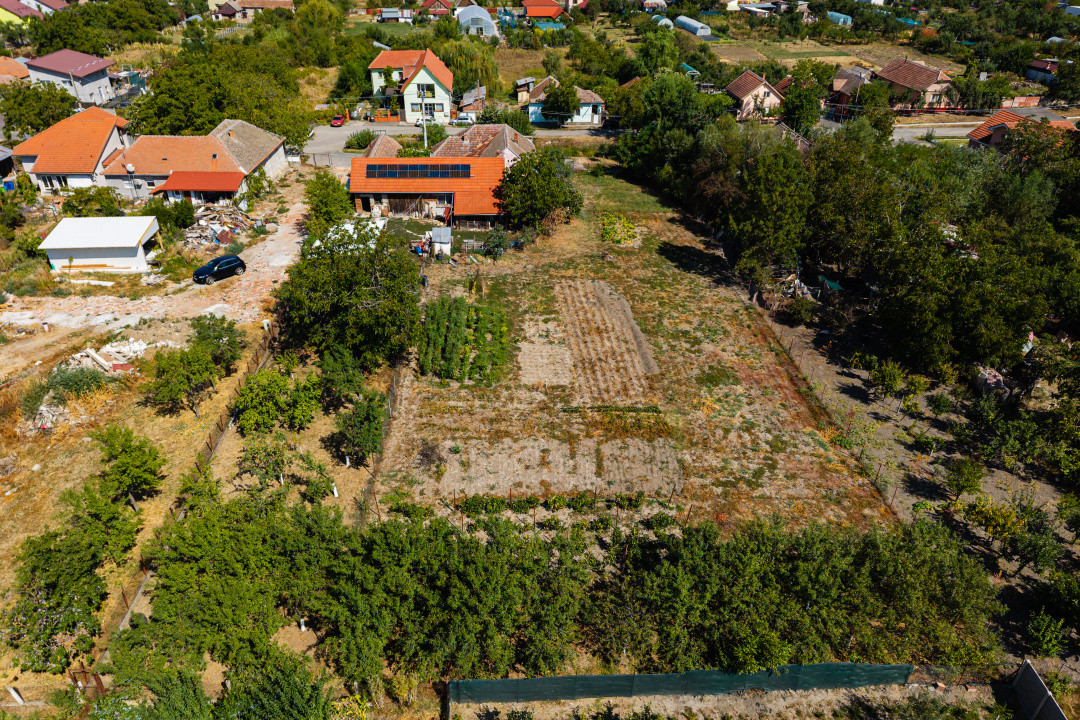  Asfalt & toate utilitatile | Proprietar 