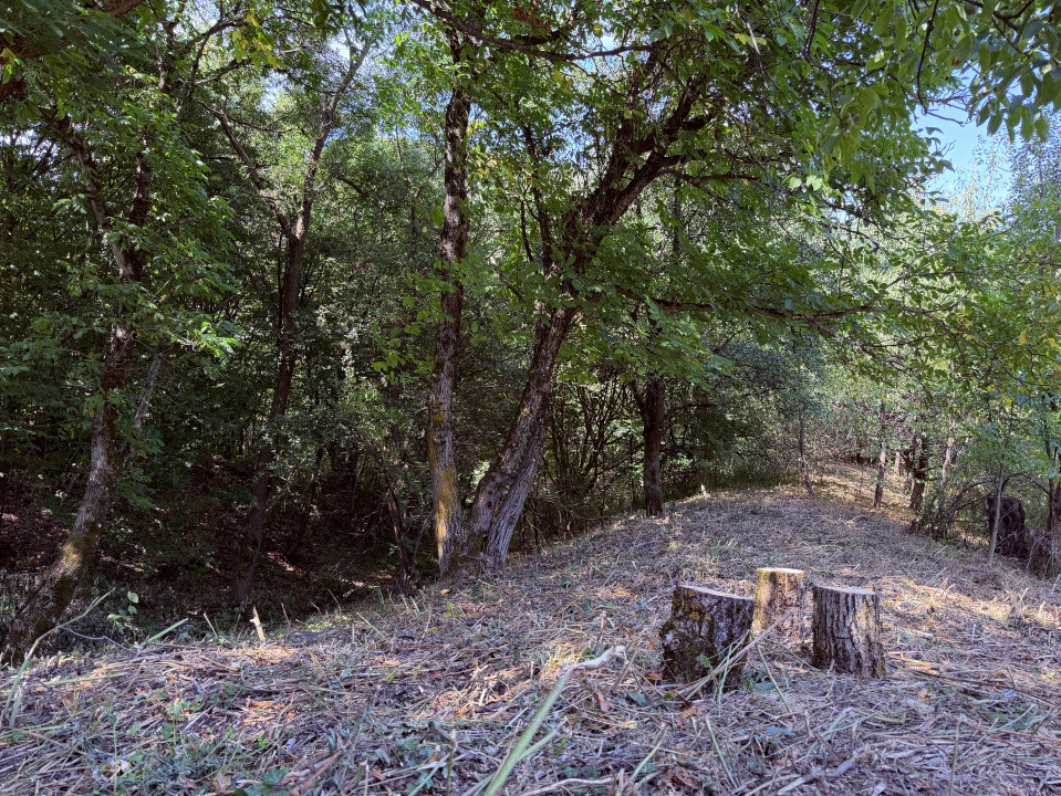 Teren 4.173 mp, front 60 m – Văliug, aproape de Lacul Gozna