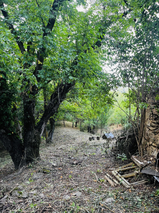 Teren 4.173 mp, front 60 m – Văliug, aproape de Lacul Gozna