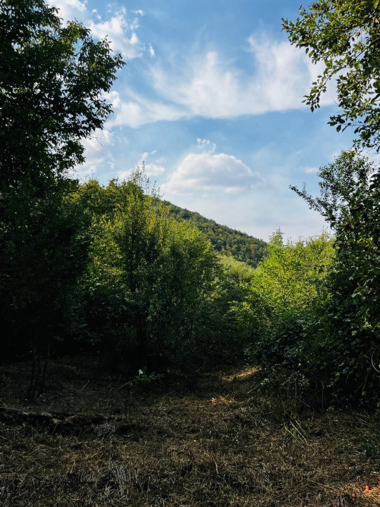 Teren 4.173 mp, front 60 m – Văliug, aproape de Lacul Gozna