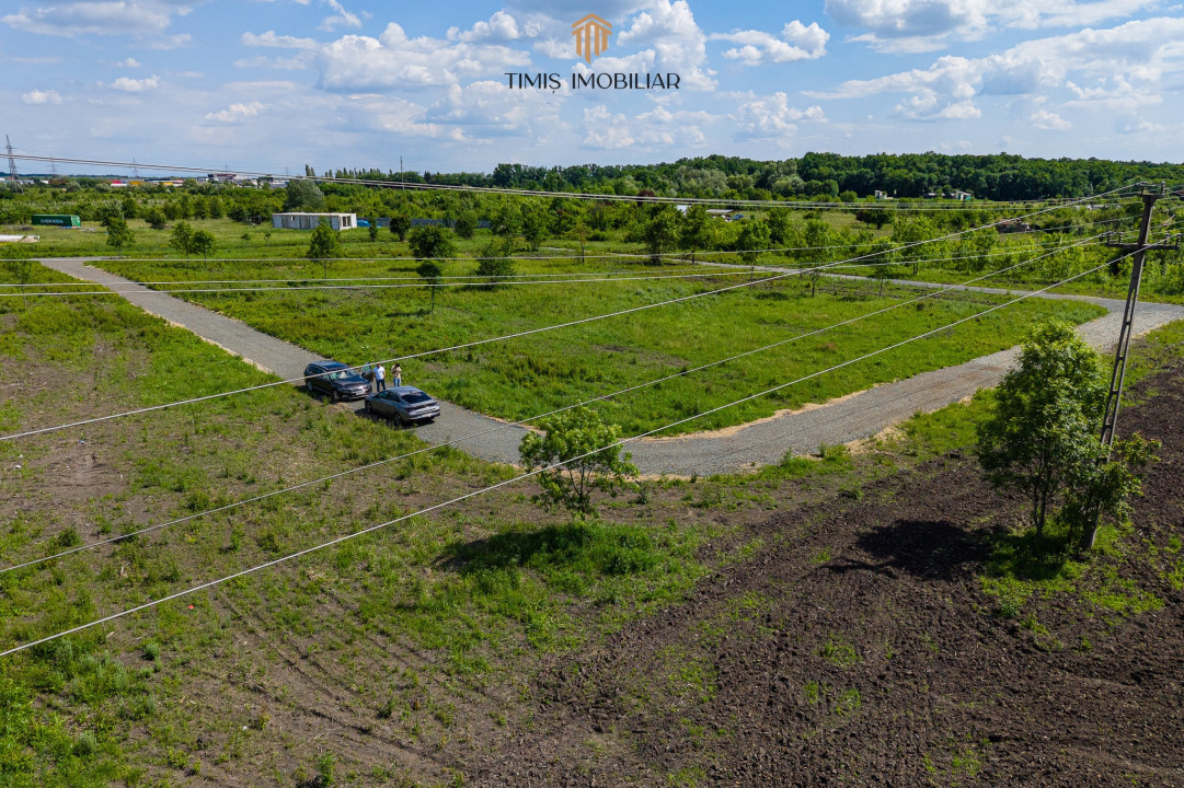 Parcele la liziera Pădurii – între Timișoara și Ghiroda/Giarmata Vii