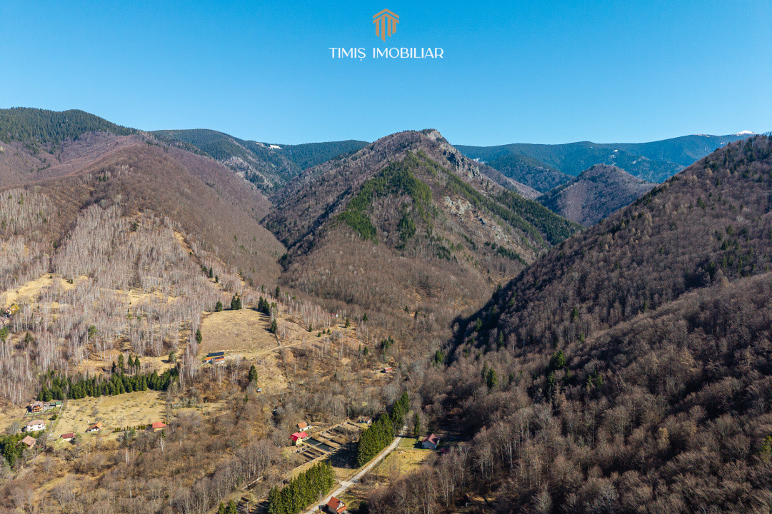 Central - 4 terenuri cu deschidere directa la padure – Poiana Mărului