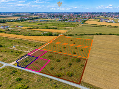 Terenuri 620–767 mp, CF individual – Moșnița Nouă | 0% comision