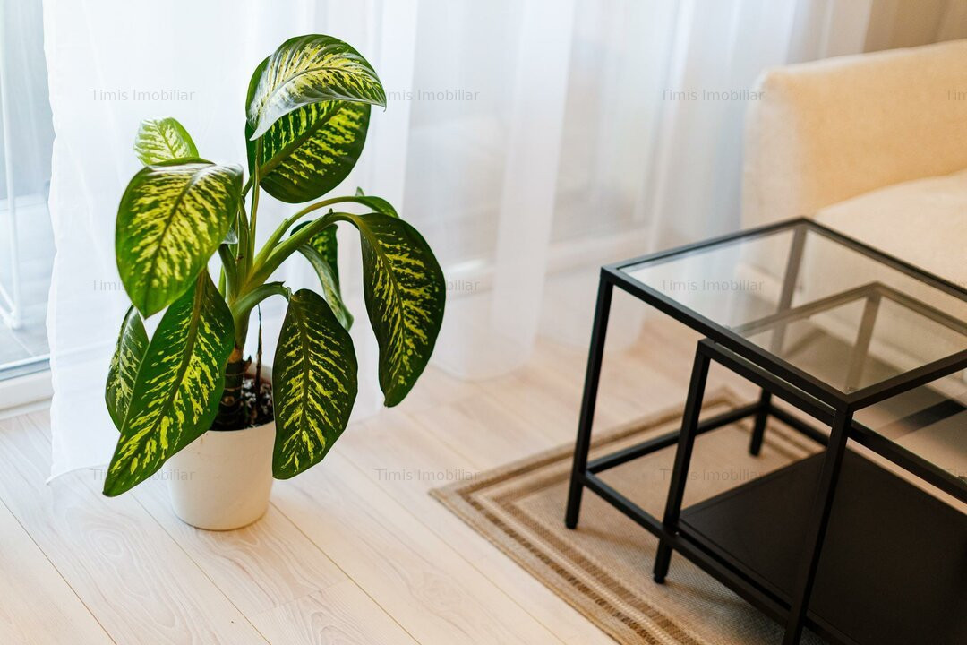 Casă primitoare și cochetă în Dumbrăvița – langa pădure și lac | Com 0%