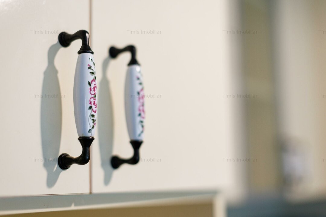 Casă primitoare și cochetă în Dumbrăvița – langa pădure și lac | Com 0%