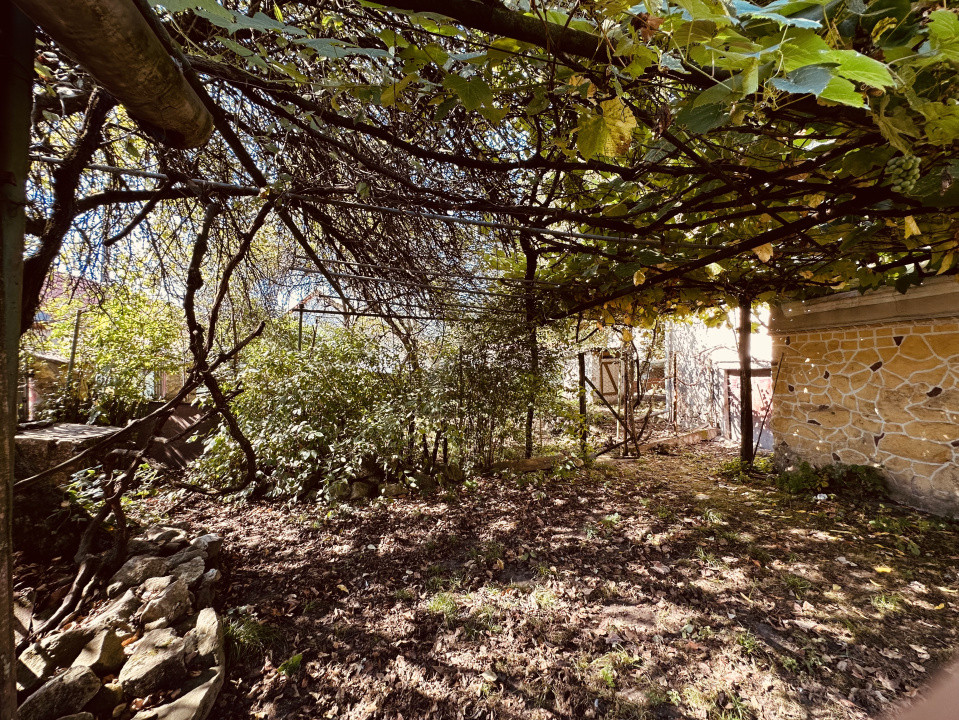 Casa de vacanta - Dognecea, CS - Teren 719 mp | Comision 0%