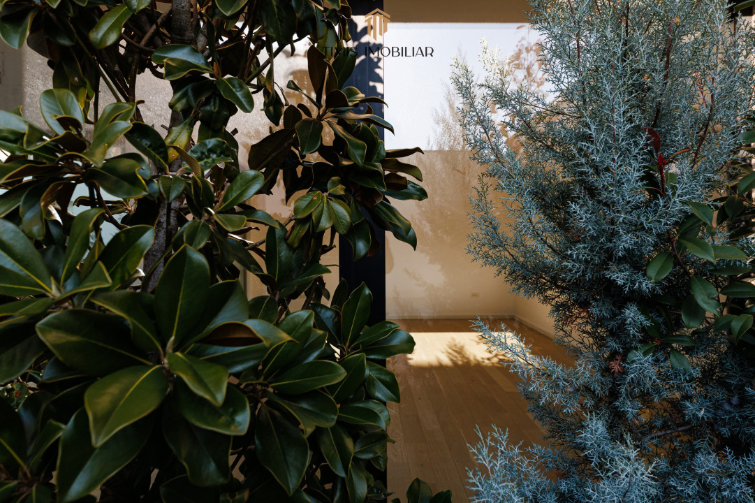 Monarch Soleil – Case premium finalizate în Dumbrăvița - Proprietar