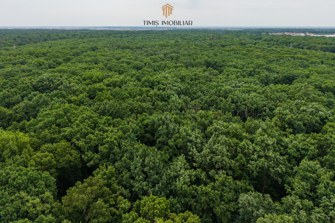 Casa superba, 3 dormitoare, totul nou, Strada Zenit - Comision 0%