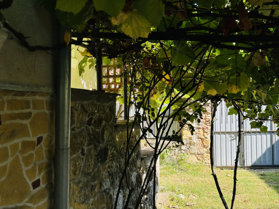 Casa de vacanta - Dognecea, CS - Teren 719 mp | Comision 0%