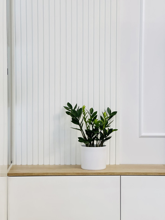 Prima inchiriere - Segmentul Premium | Parcare subterana - Com 0%