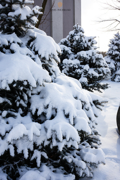 Apartament cu curte proprie și 2 parcări, de închiriat în Adora Forest