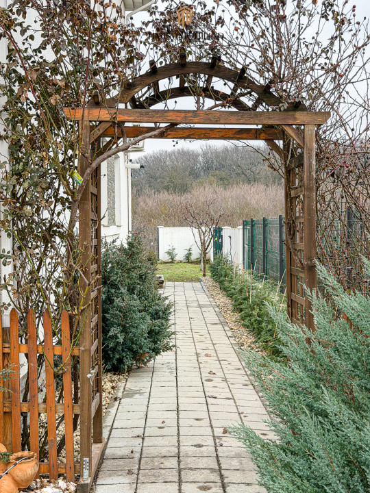 Casă de închiriat în Dumbrăvița – 4 dormitoare, 2 băi, Pădure