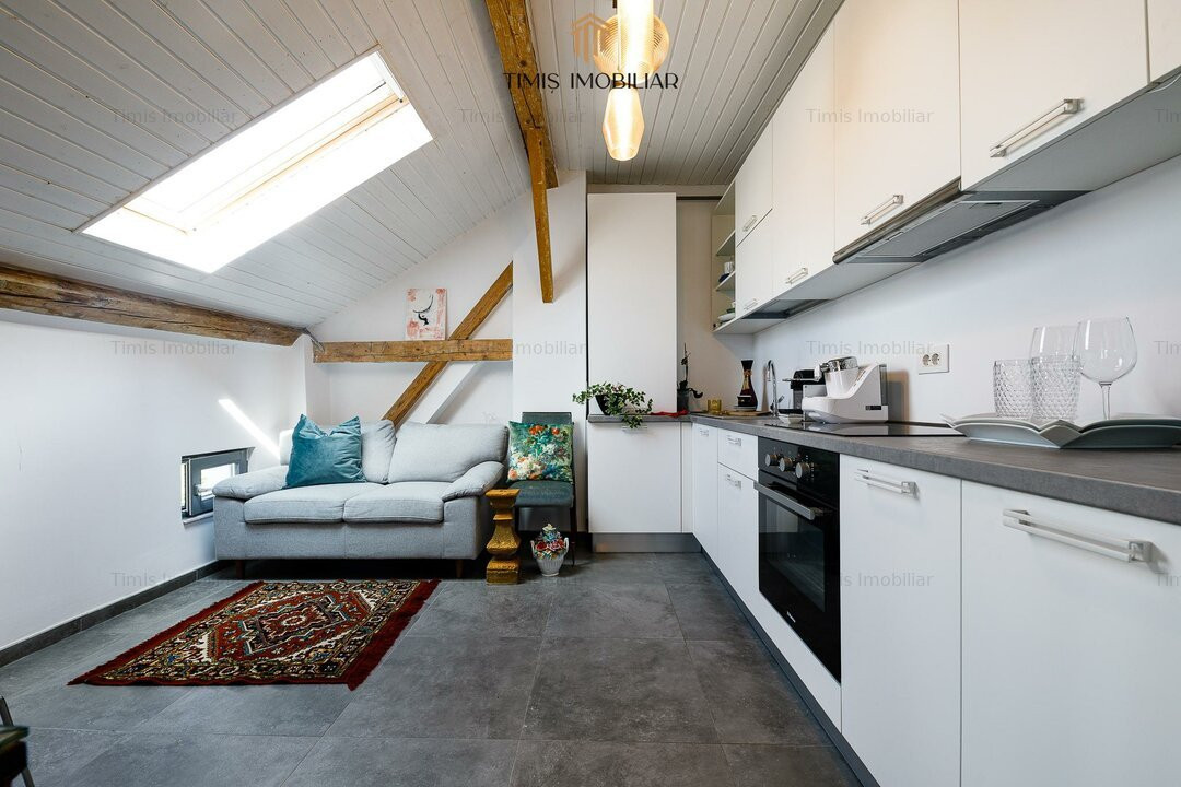 Vila impresionanta in Timisoara - Zona Balcescu | 466 mp, acces auto