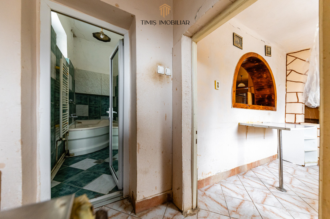 100 de ani de istorie, 944 mp - Strada Gelu, Timisoara 