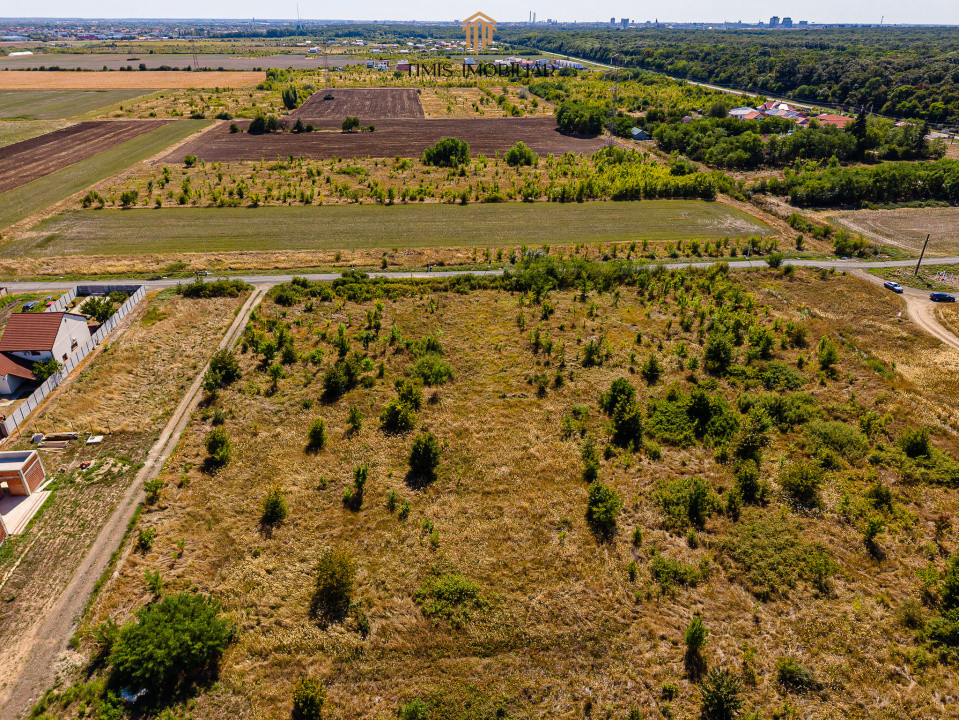 Parcele case cu vedere spre pădure – între Timișoara si Giarmata Vii