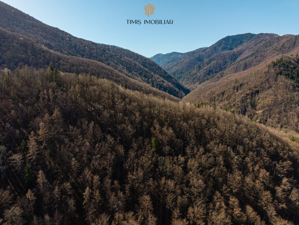 Terenuri la marginea pădurii – Poiana Mărului, zonă superbă | Com 0%