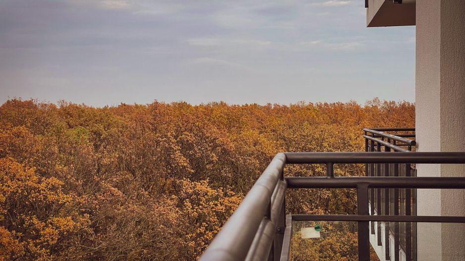 2 camere Denya Forest, etaj 8, vedere pădure, parcare inclusă | Com 0%