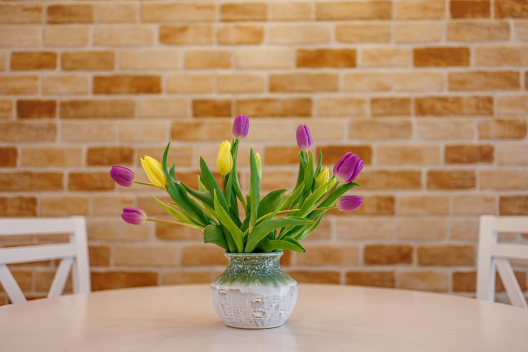 Duplex mediteranean, curte superbă – Timisoara,, panouri solare