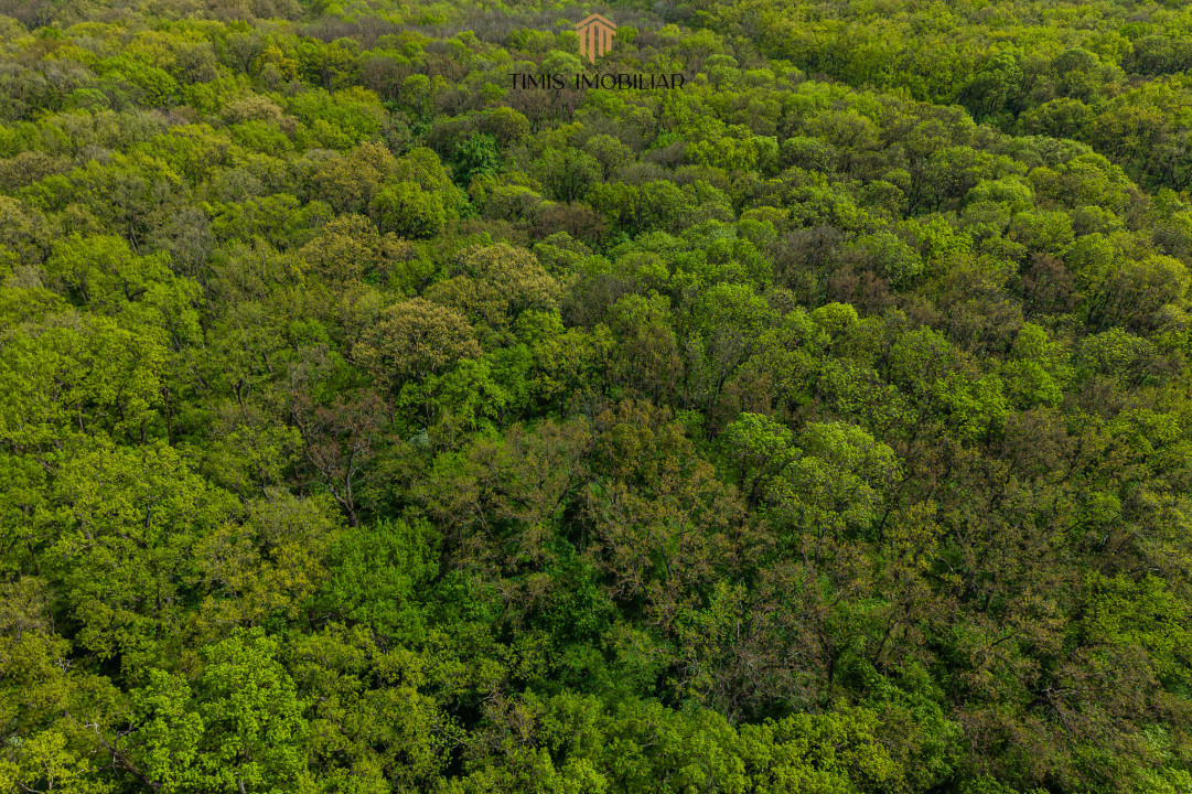 Oferta Inchiriata - Casa primitoare si calda, cu 4 camere, la liziera padurii