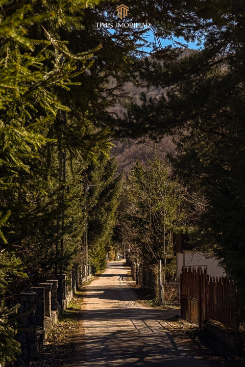 Terenuri la marginea pădurii – Poiana Mărului, zonă superbă | Com 0%