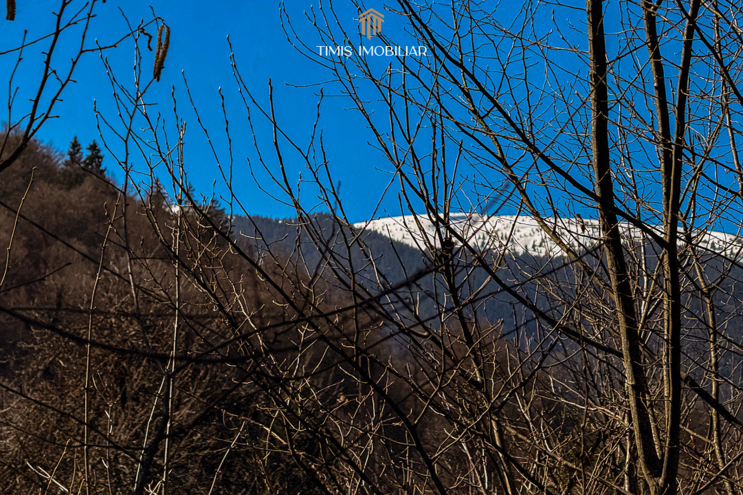 Terenuri la marginea pădurii – Poiana Mărului, zonă superbă | Com 0%