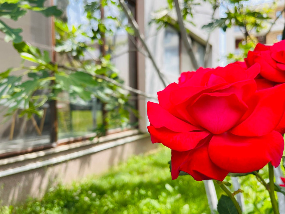 De vanzare apartament cu 3 camere & 2 bai | 72 mp | Aleea Cu Plopi, Giroc