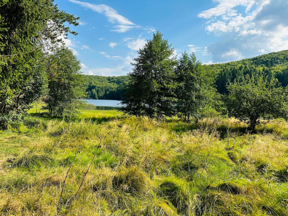 Un teren de vis cu deschidere la Lacul Trei Ape, Brebu Nou