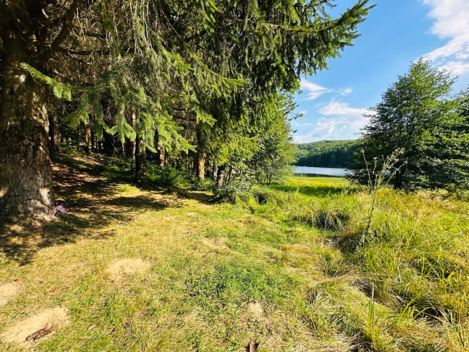 Un teren de vis cu deschidere la Lacul Trei Ape, Brebu Nou