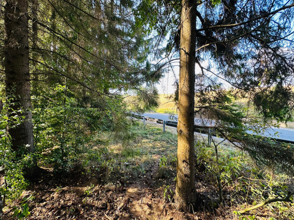 Un teren de vis cu deschidere la Lacul Trei Ape, Brebu Nou