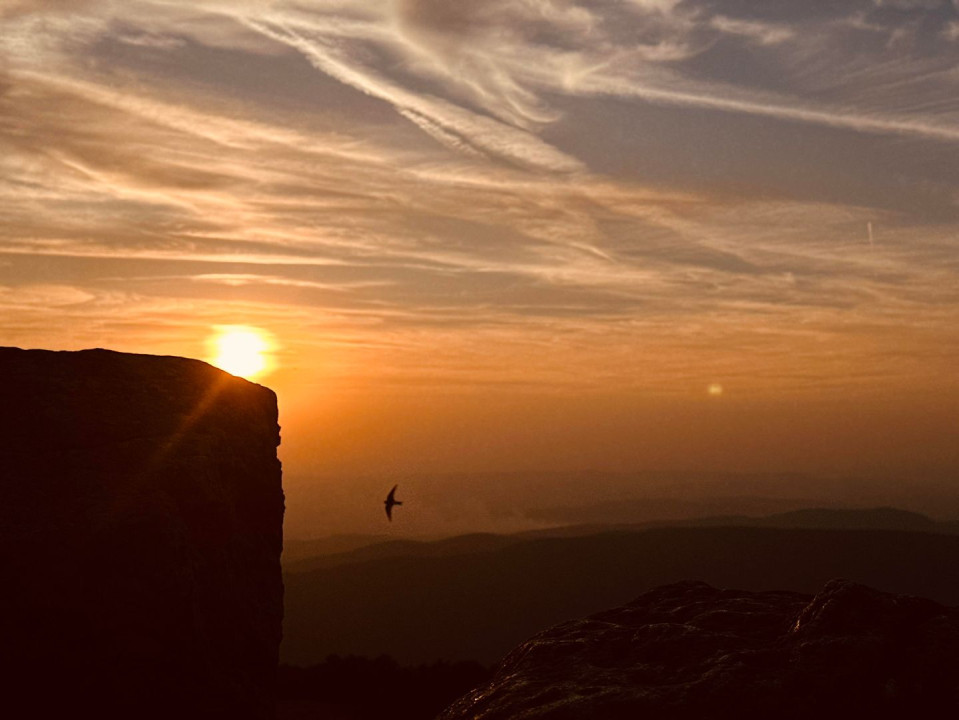 Un teren de vis cu deschidere la Lacul Trei Ape, Brebu Nou