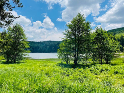 Un teren de vis cu deschidere la Lacul Trei Ape, Brebu Nou